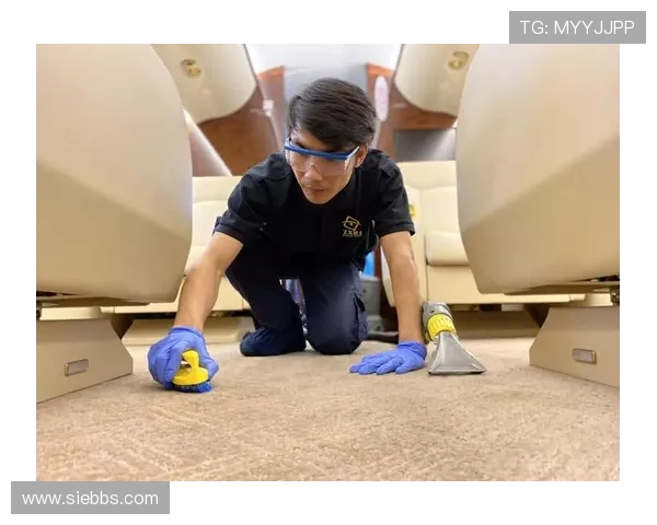 飞机客舱地毯的快速更换安装条